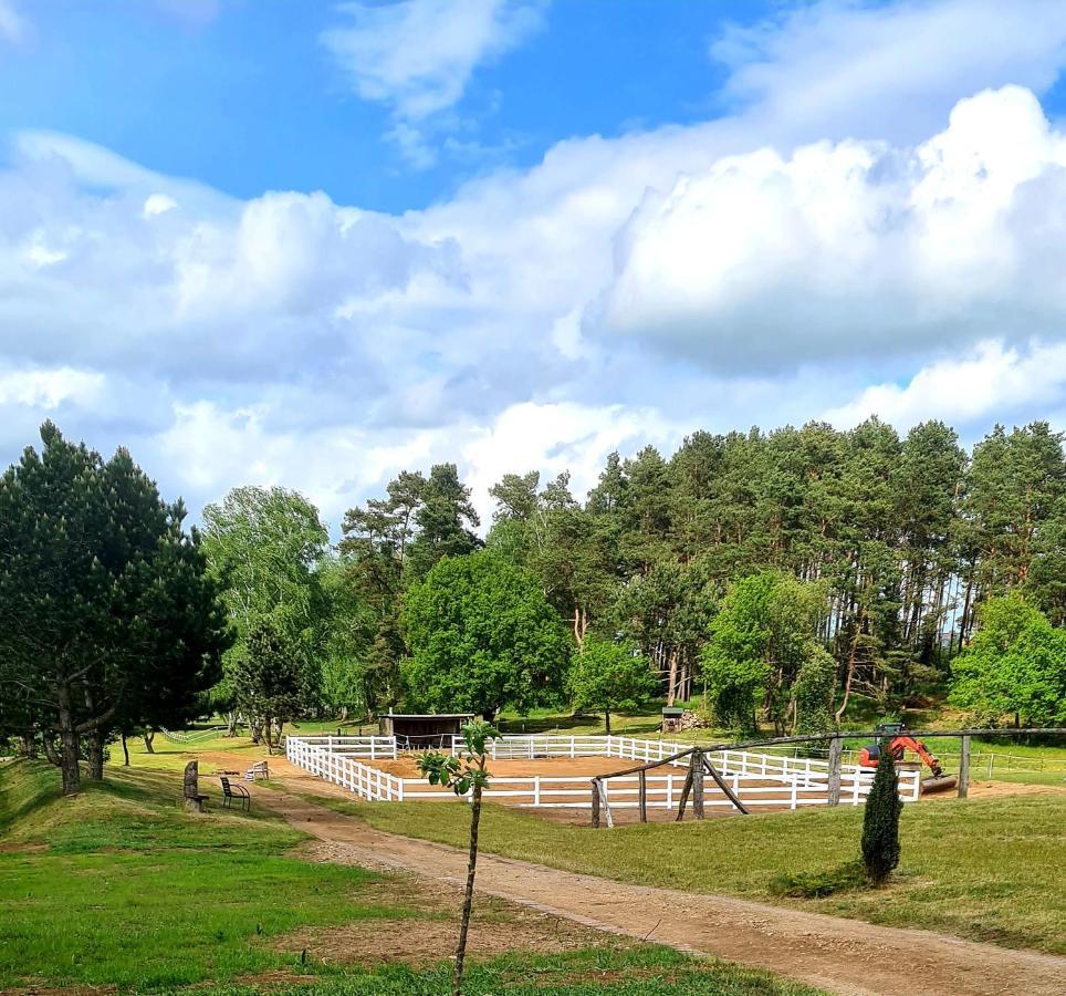 Kur-& Landhotel Borstel - Treff Dabel Экстерьер фото