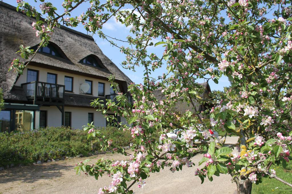 Kur-& Landhotel Borstel - Treff Dabel Экстерьер фото